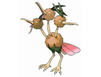 Dodrio