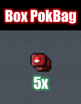 Box PokBag